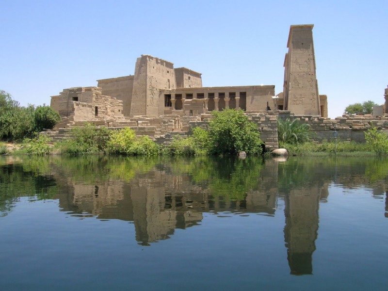 فيلة