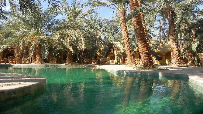 فندق ريم الو احة