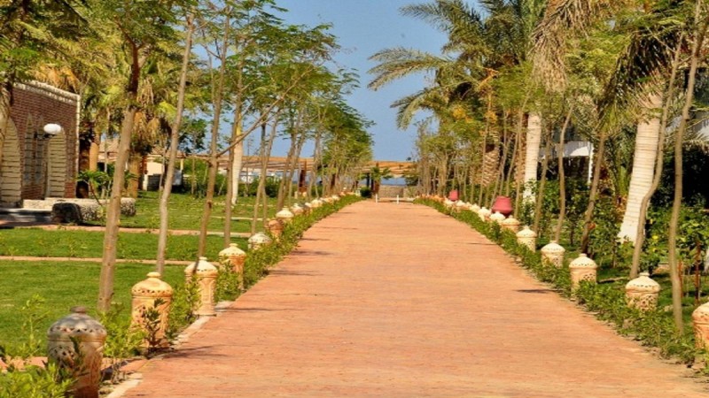 منتجع علاء الدين بيتش