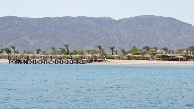 منتجع كورال نويبع