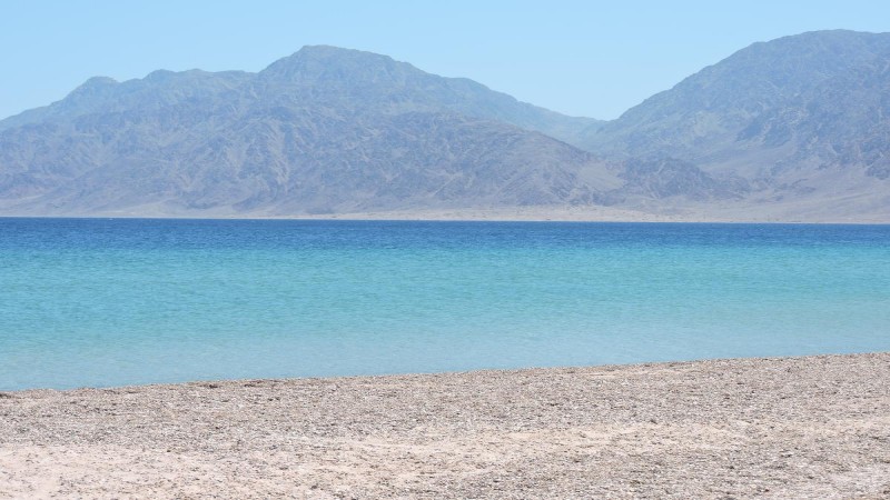 منتجع كورال نويبع