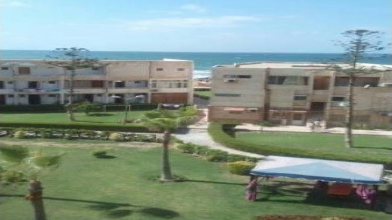 المعمورة بالاس الاسكندرية