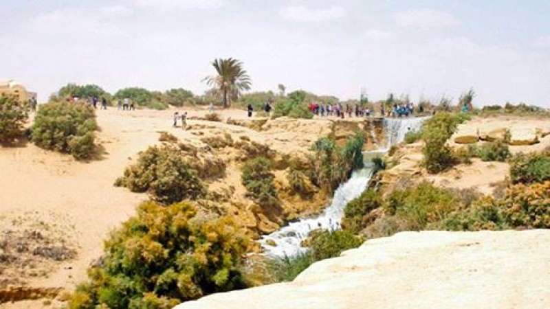 قرية الواحة - الفيوم ( جولة حرة )
