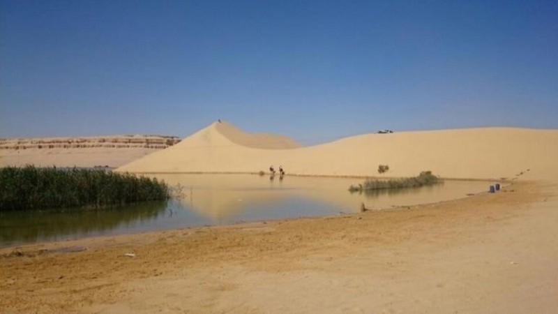 قرية الواحة - الفيوم ( جولة حرة )