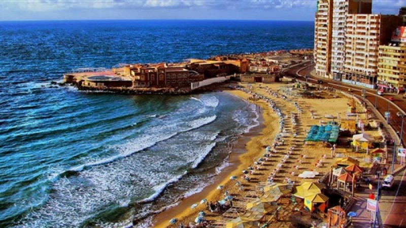 رحلة اليوم الواحد - اسكندرية
