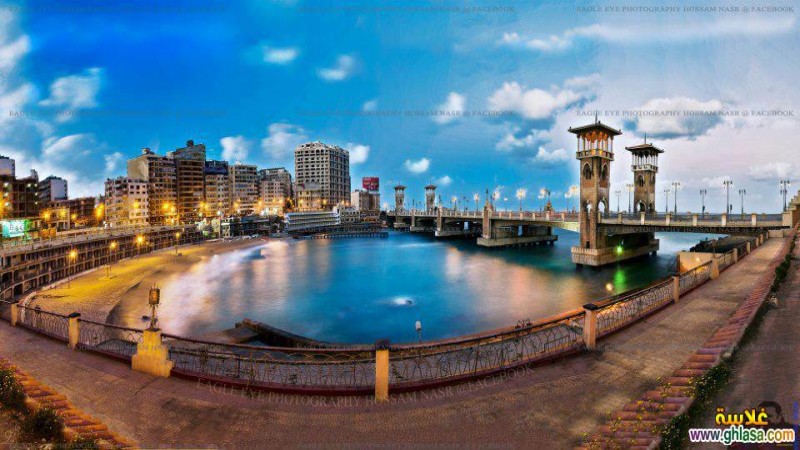 رحلة اليوم الواحد - اسكندرية